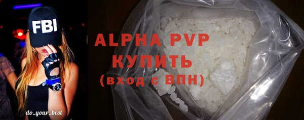 индика Бронницы